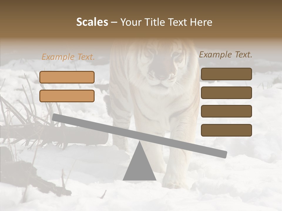 Ferocious Mammal Fierce PowerPoint Template