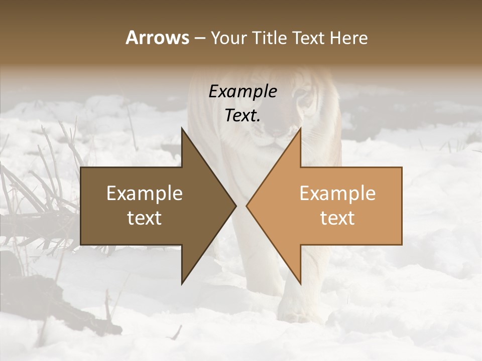 Ferocious Mammal Fierce PowerPoint Template