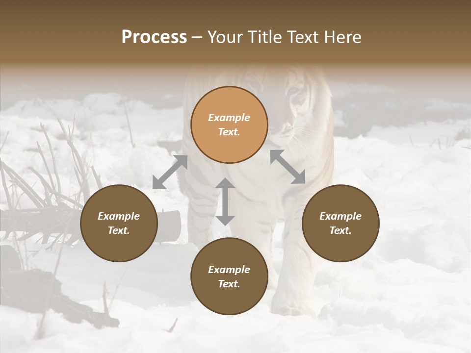 Ferocious Mammal Fierce PowerPoint Template