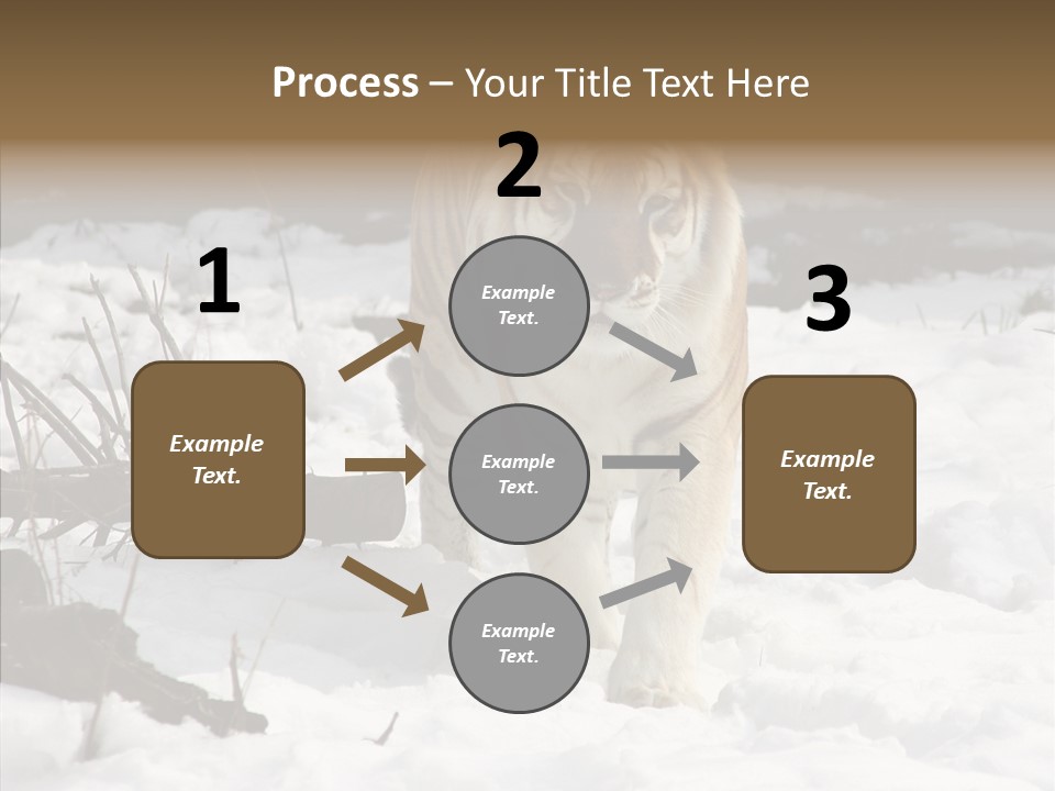Ferocious Mammal Fierce PowerPoint Template