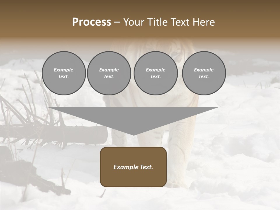 Ferocious Mammal Fierce PowerPoint Template