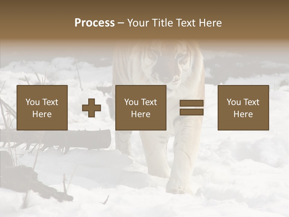Ferocious Mammal Fierce PowerPoint Template