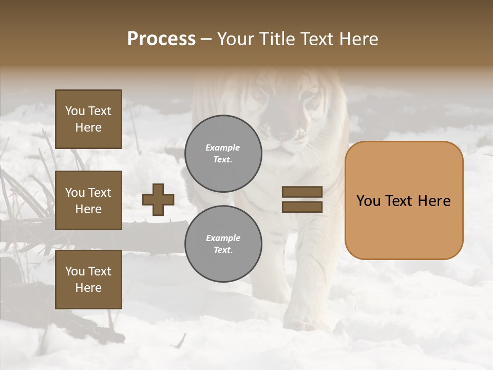 Ferocious Mammal Fierce PowerPoint Template