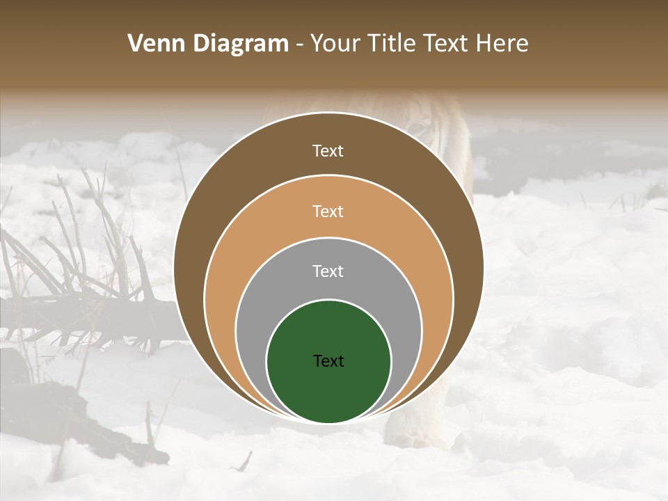 Ferocious Mammal Fierce PowerPoint Template