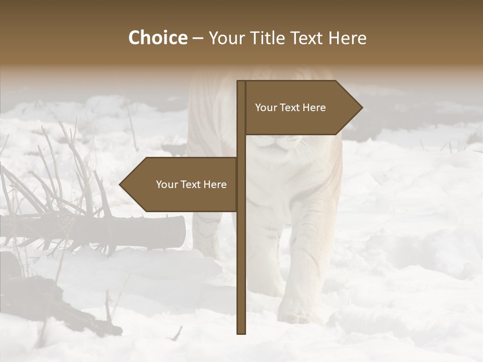 Ferocious Mammal Fierce PowerPoint Template