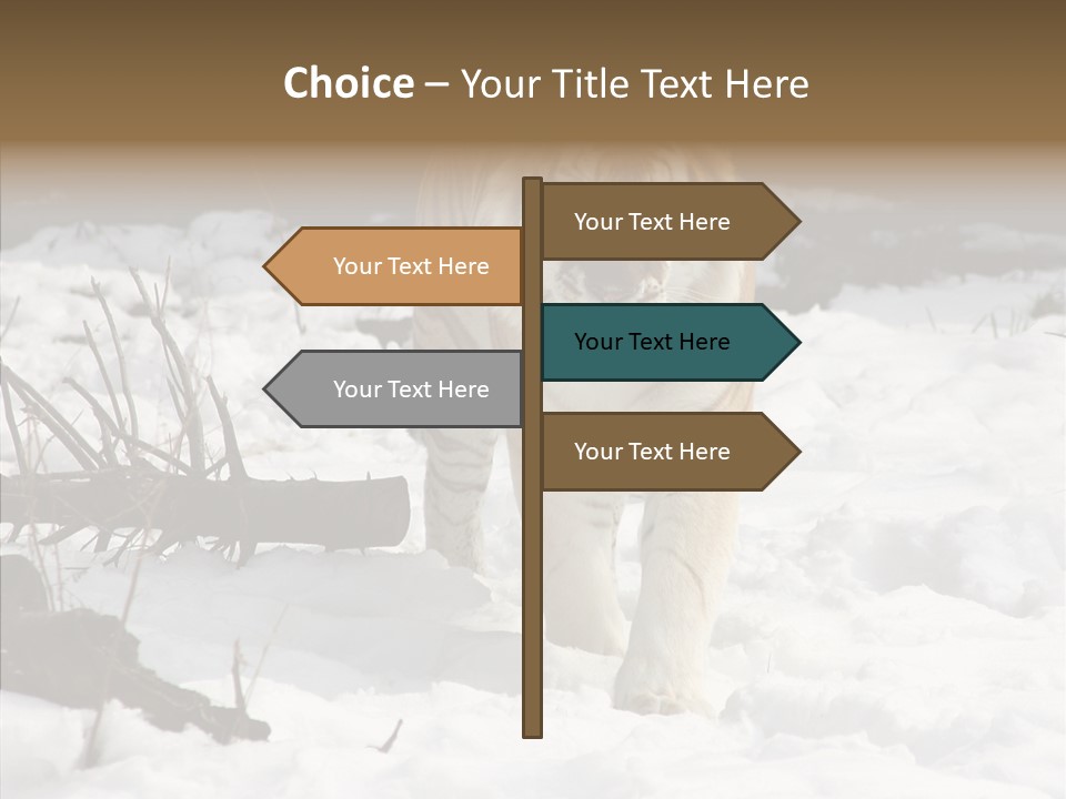 Ferocious Mammal Fierce PowerPoint Template