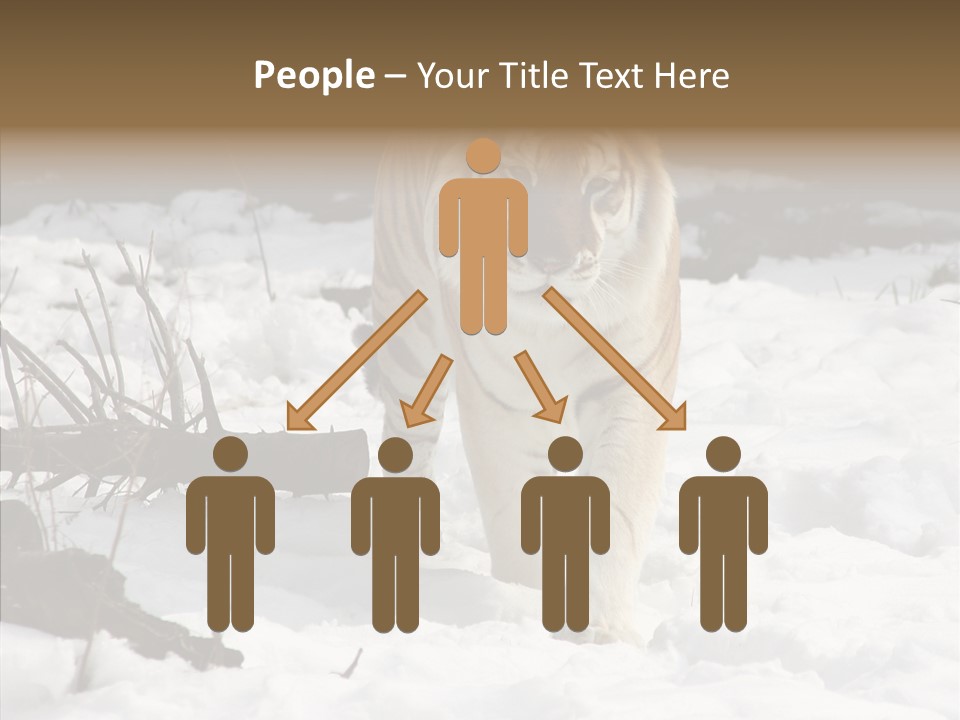 Ferocious Mammal Fierce PowerPoint Template