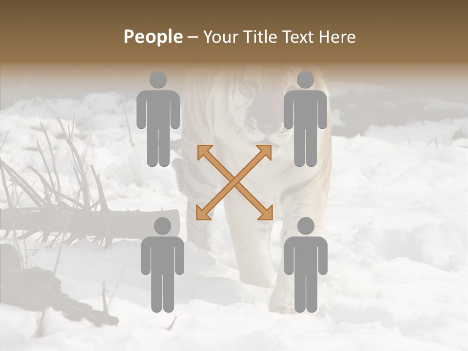 Ferocious Mammal Fierce PowerPoint Template