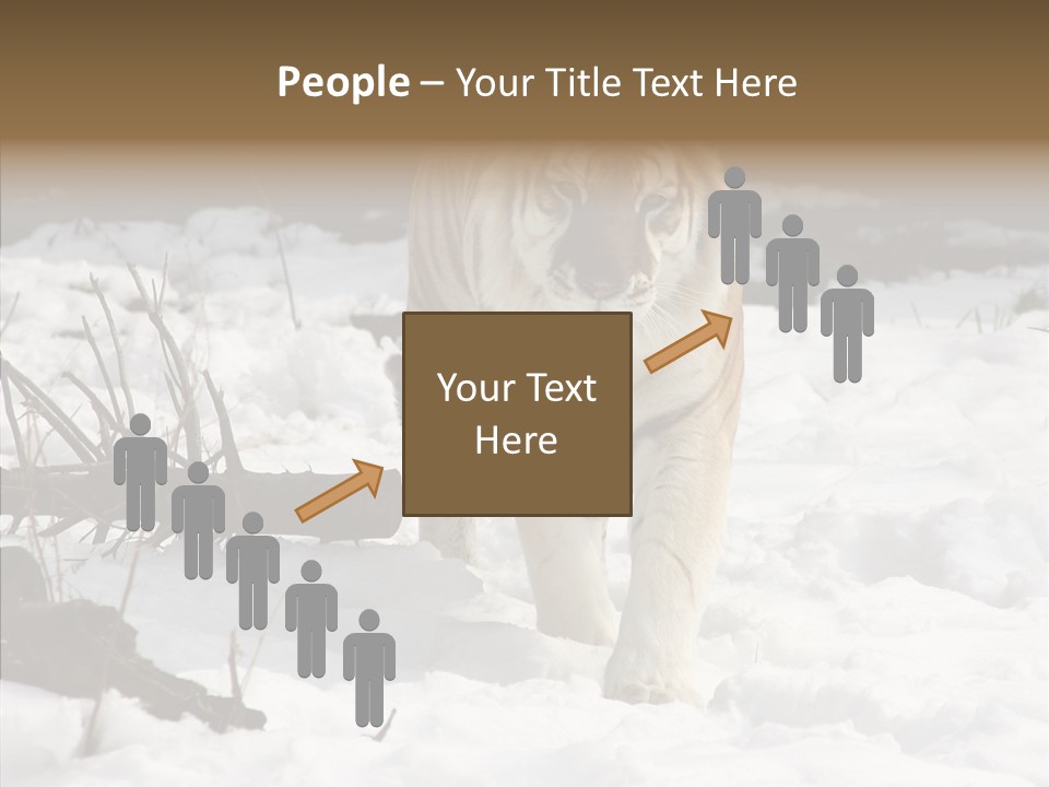 Ferocious Mammal Fierce PowerPoint Template