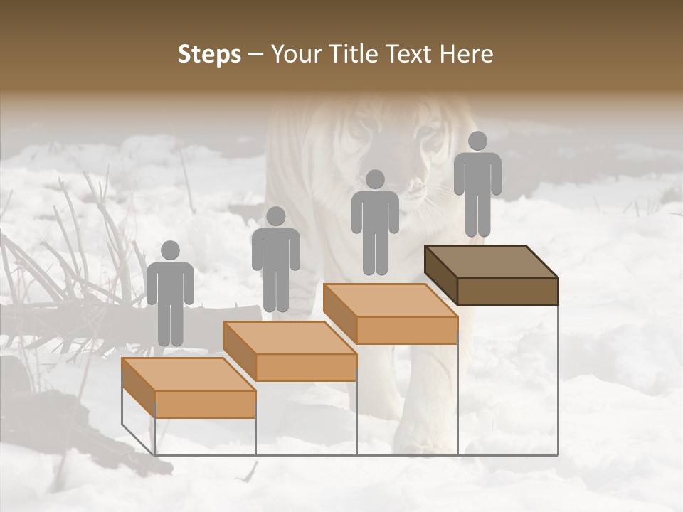 Ferocious Mammal Fierce PowerPoint Template