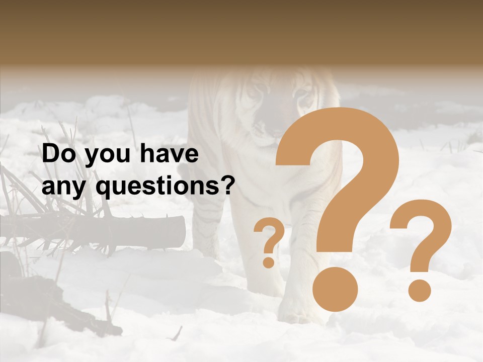 Ferocious Mammal Fierce PowerPoint Template