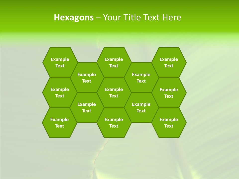 Large Leaves PowerPoint Template