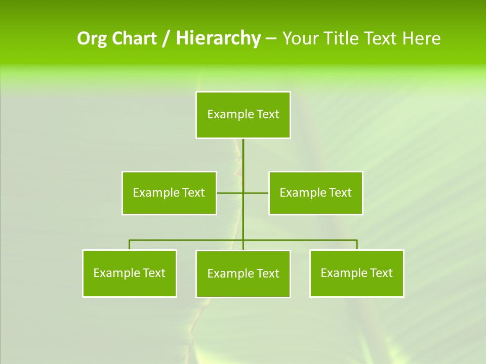 Large Leaves PowerPoint Template