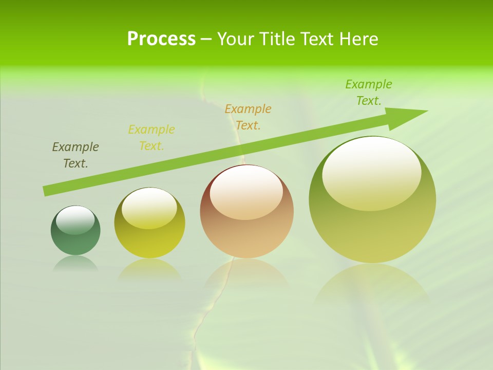 Large Leaves PowerPoint Template