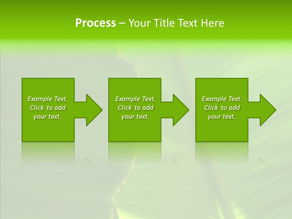 Large Leaves PowerPoint Template