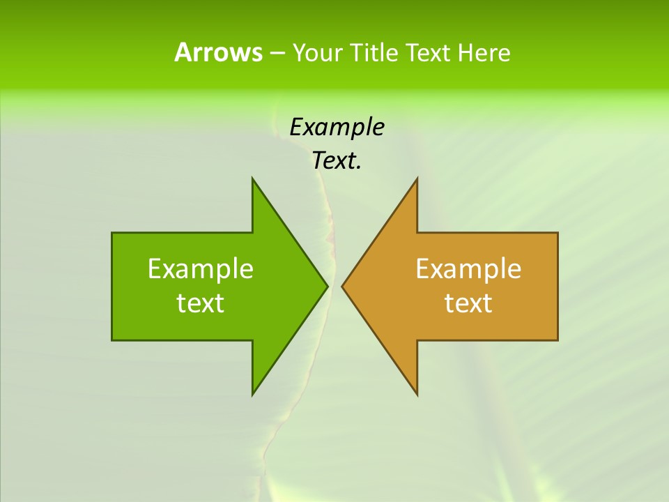 Large Leaves PowerPoint Template