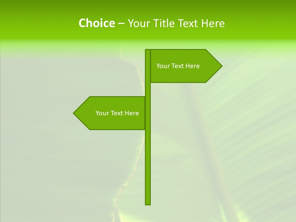 Large Leaves PowerPoint Template