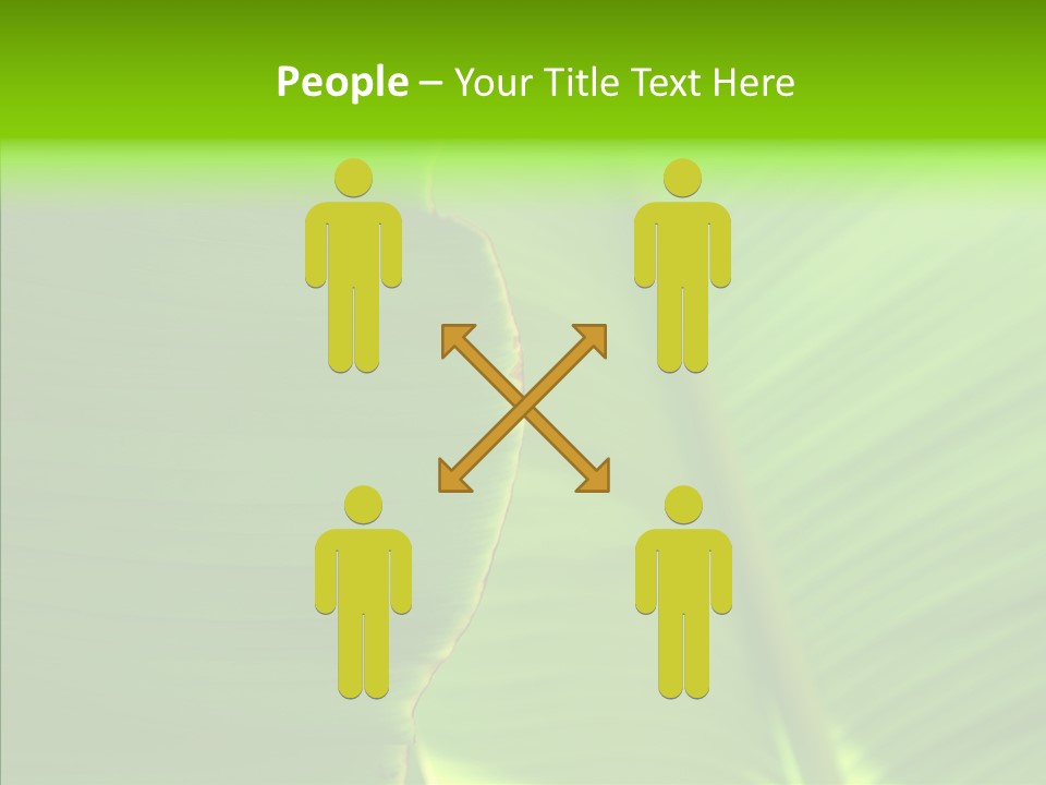 Large Leaves PowerPoint Template