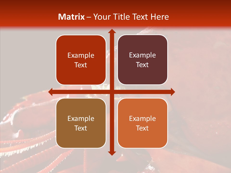 Food Freshness Red PowerPoint Template