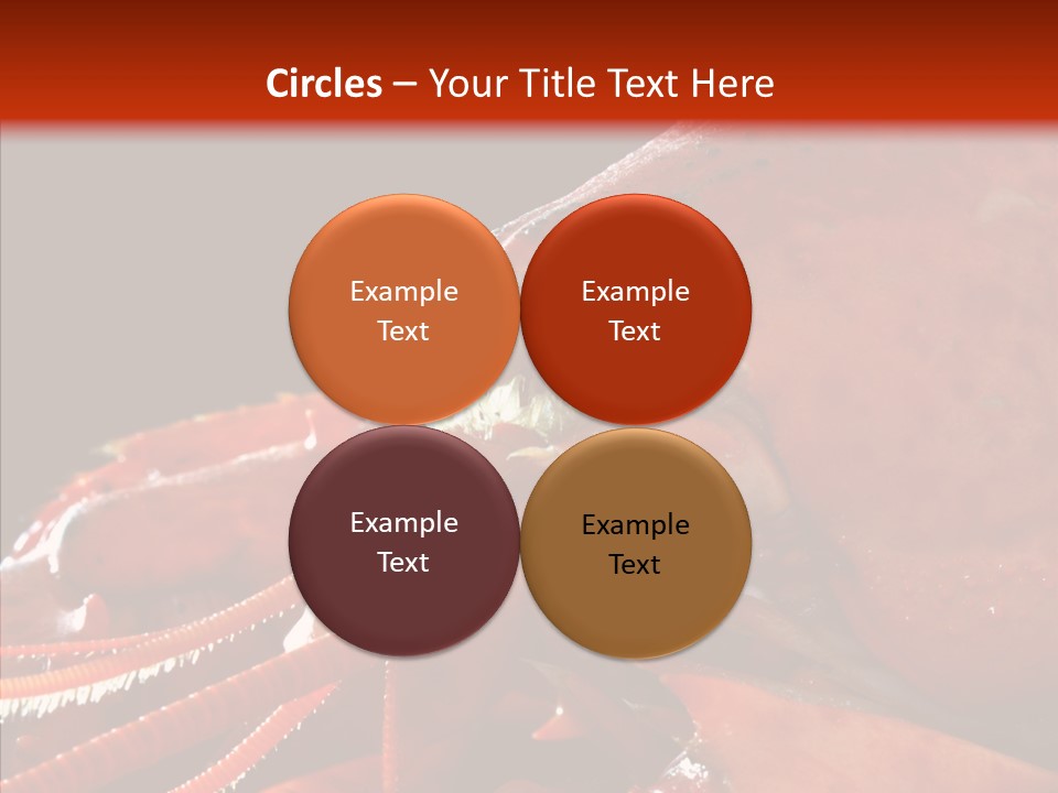 Food Freshness Red PowerPoint Template