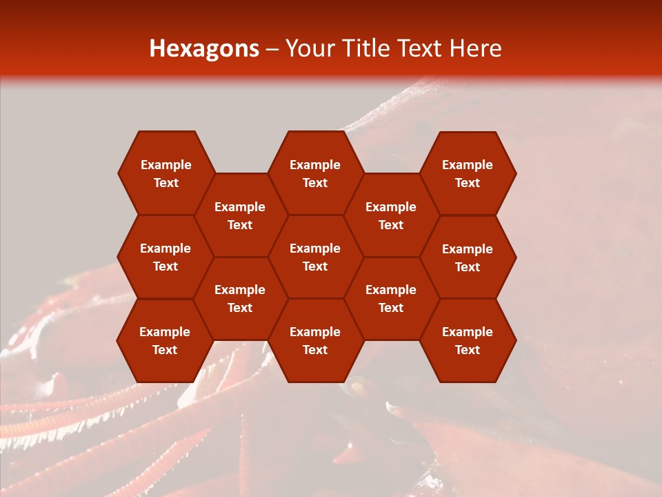 Food Freshness Red PowerPoint Template