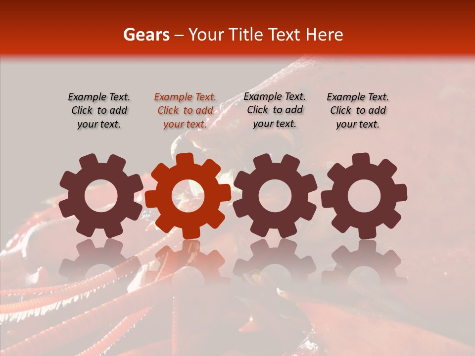 Food Freshness Red PowerPoint Template