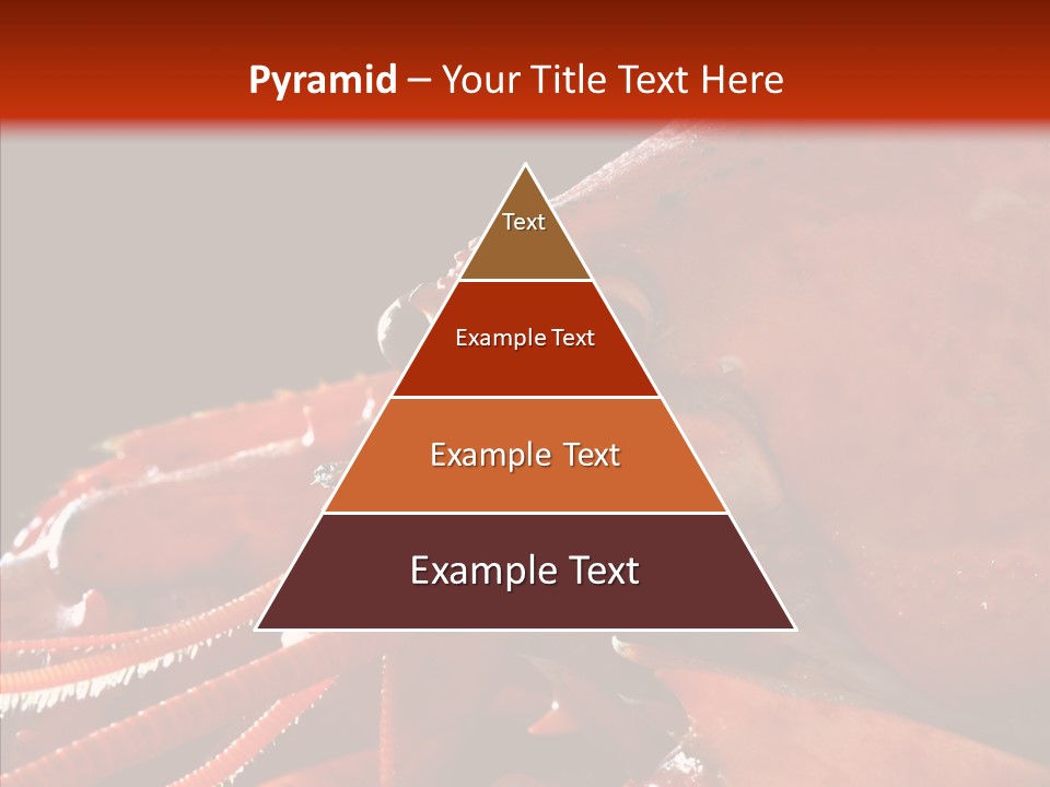 Food Freshness Red PowerPoint Template