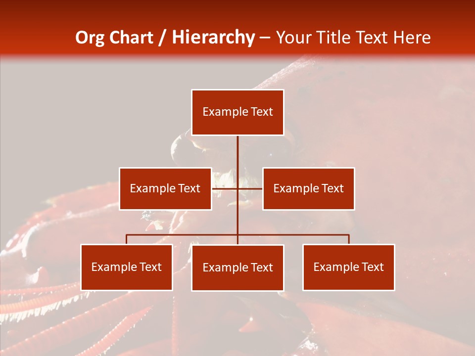 Food Freshness Red PowerPoint Template
