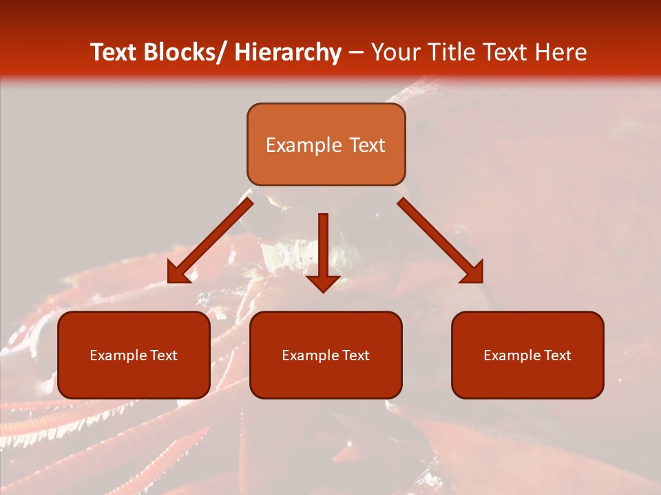 Food Freshness Red PowerPoint Template