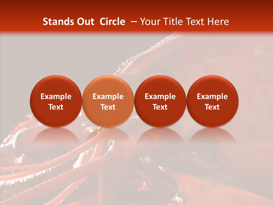 Food Freshness Red PowerPoint Template