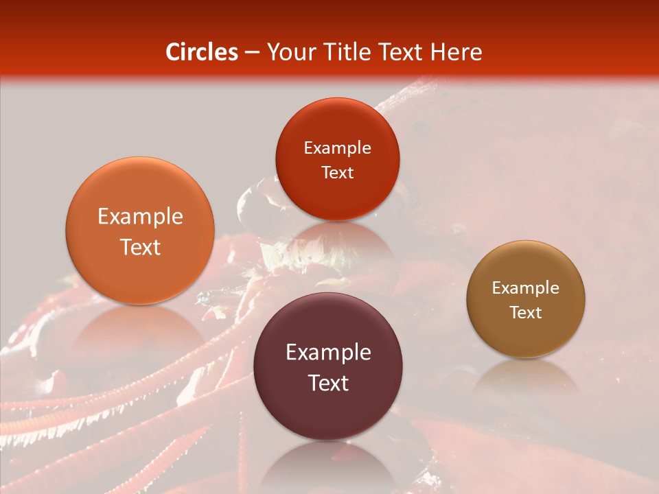 Food Freshness Red PowerPoint Template