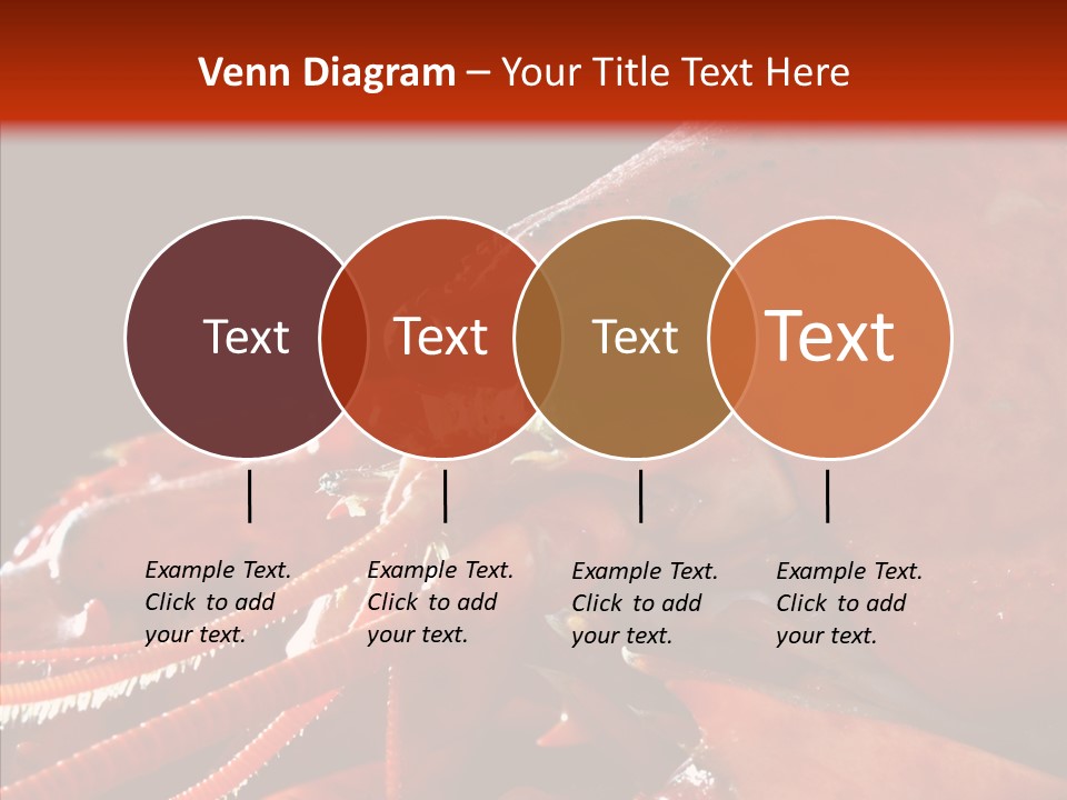 Food Freshness Red PowerPoint Template