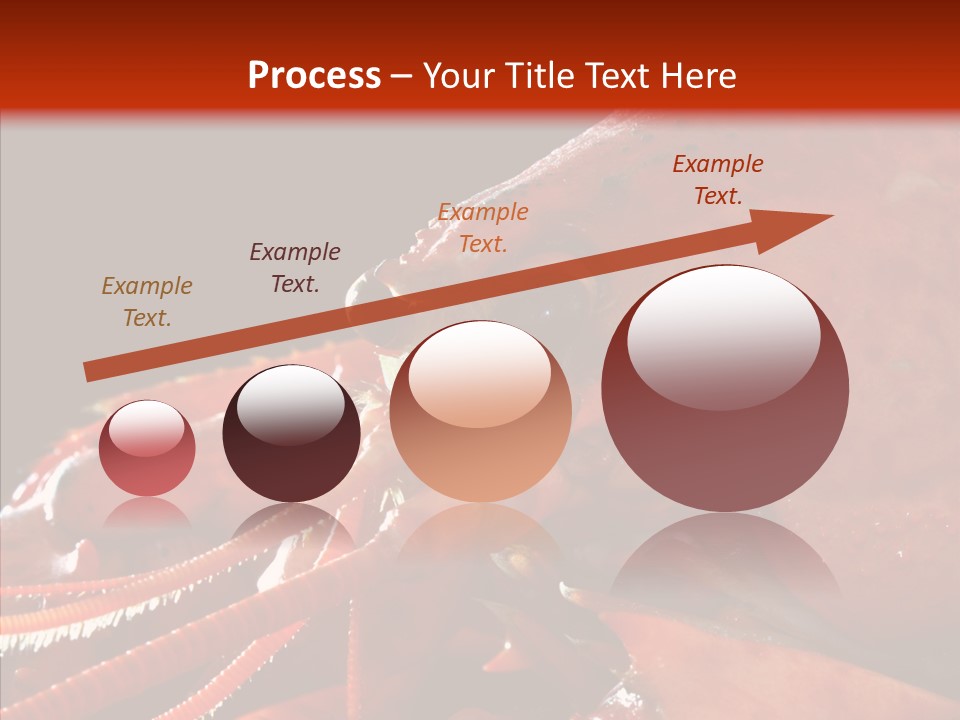 Food Freshness Red PowerPoint Template