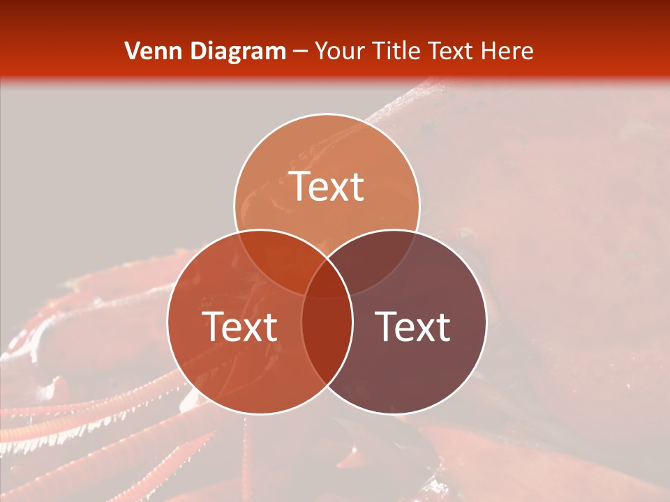 Food Freshness Red PowerPoint Template