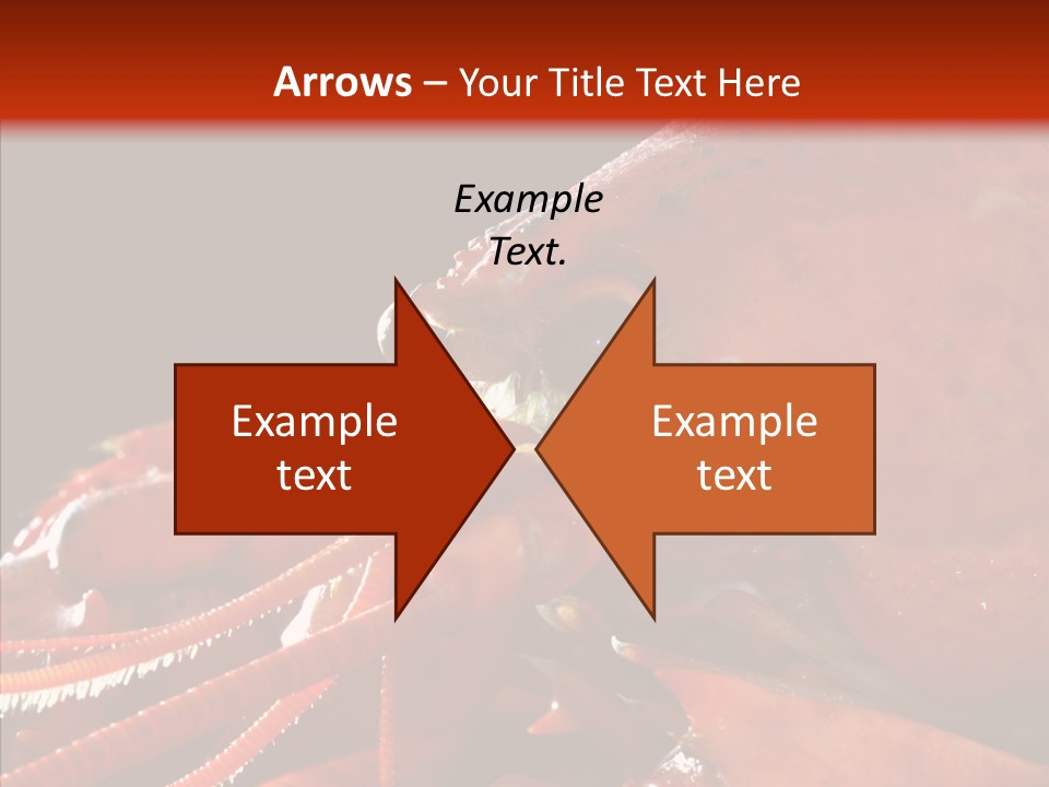 Food Freshness Red PowerPoint Template