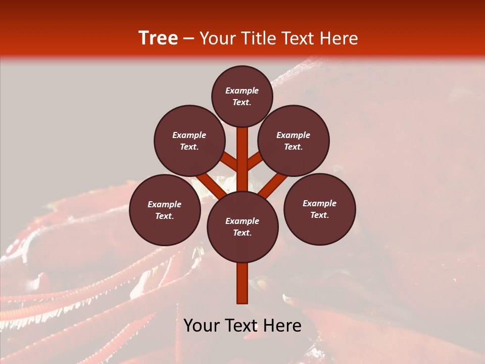 Food Freshness Red PowerPoint Template