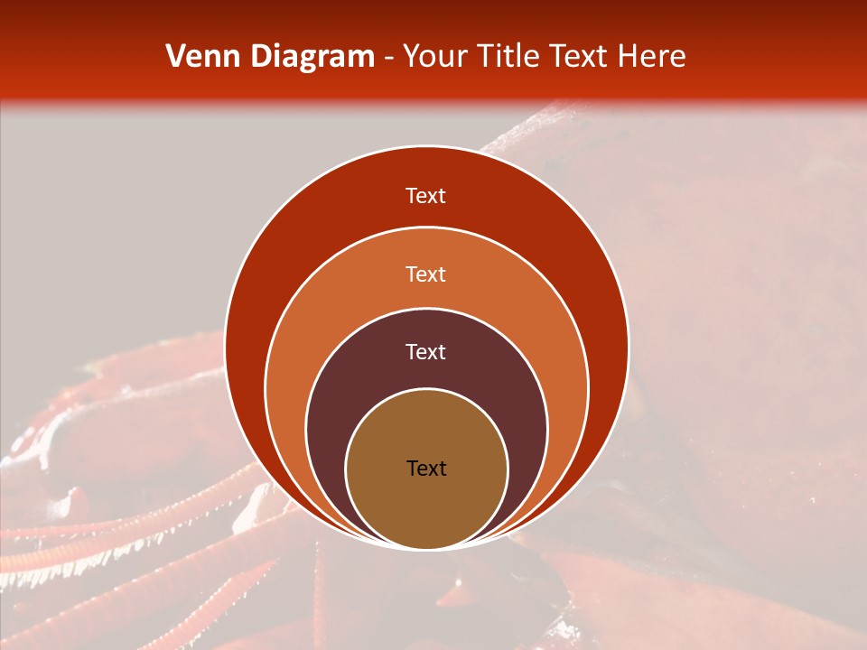 Food Freshness Red PowerPoint Template