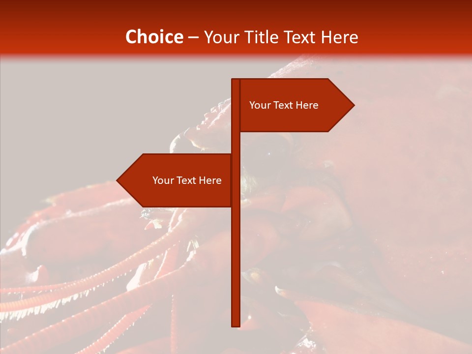 Food Freshness Red PowerPoint Template