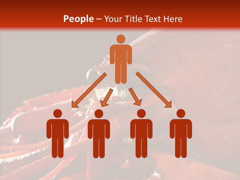 Food Freshness Red PowerPoint Template