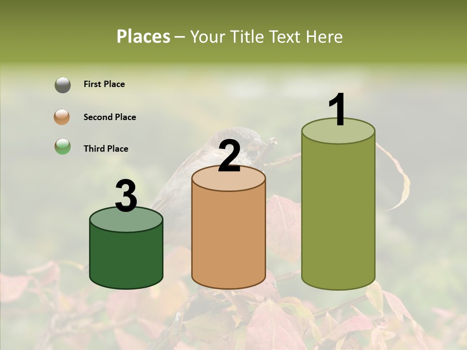 Nature Garden Botanic PowerPoint Template