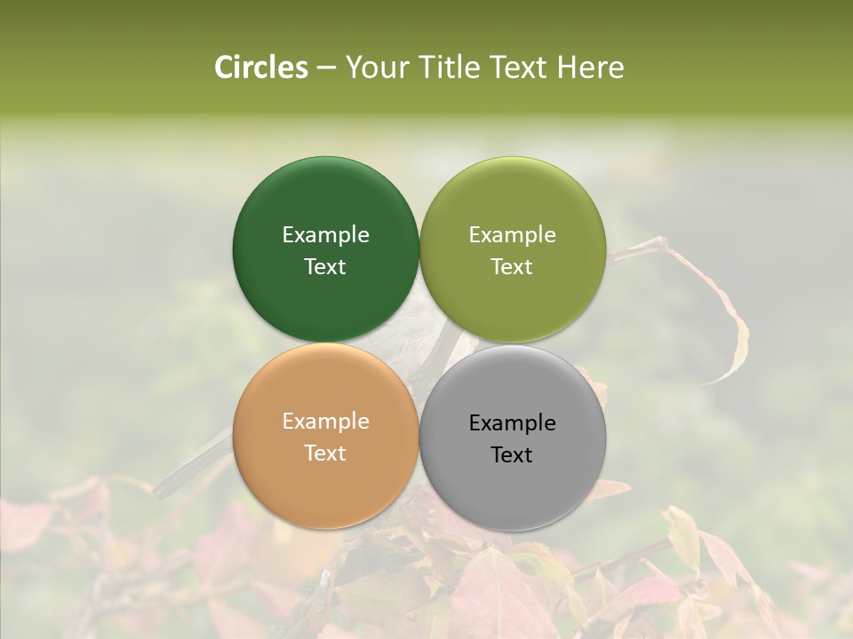 Nature Garden Botanic PowerPoint Template