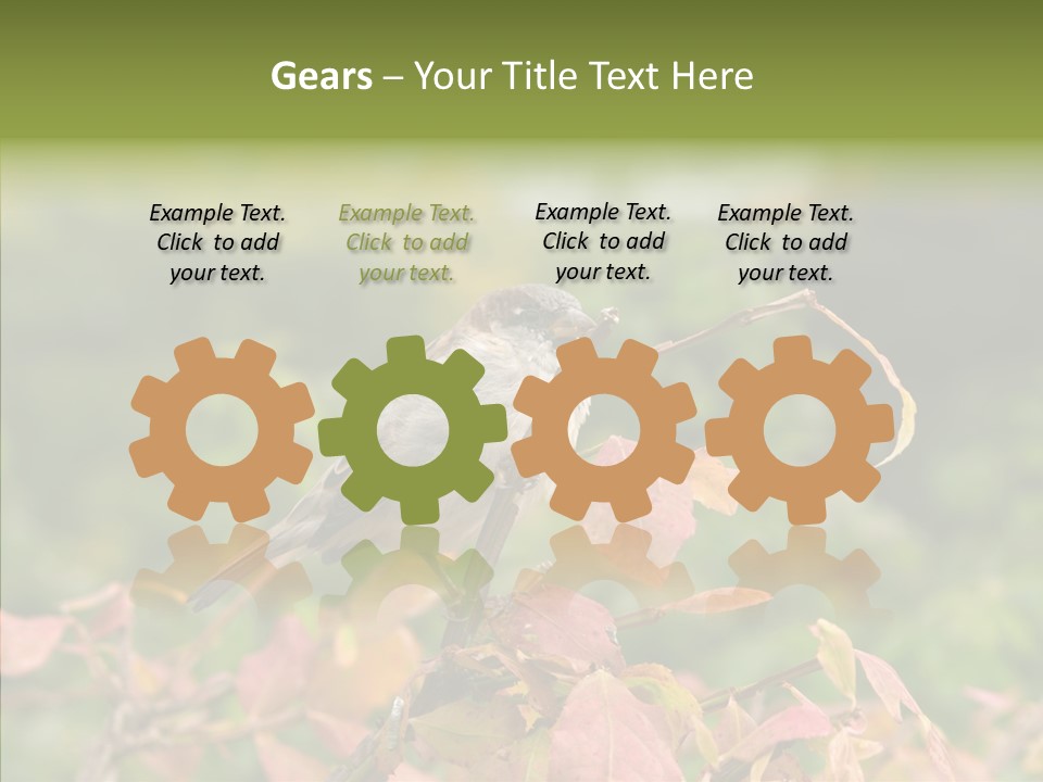 Nature Garden Botanic PowerPoint Template