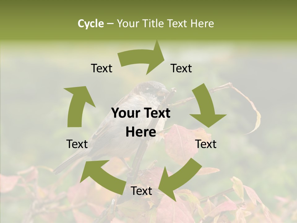 Nature Garden Botanic PowerPoint Template