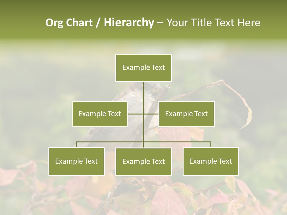 Nature Garden Botanic PowerPoint Template