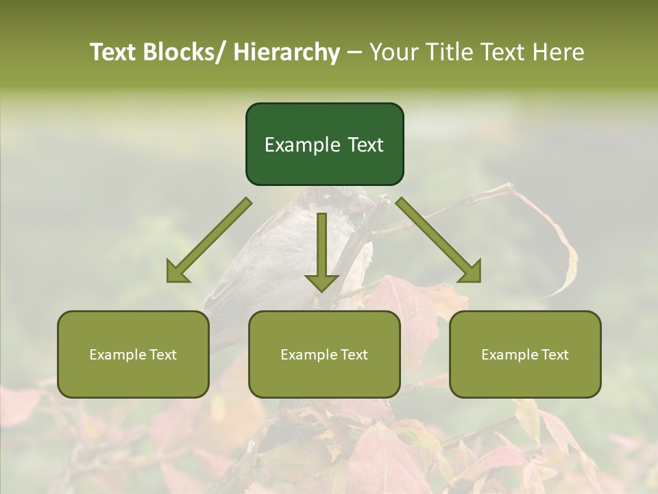 Nature Garden Botanic PowerPoint Template