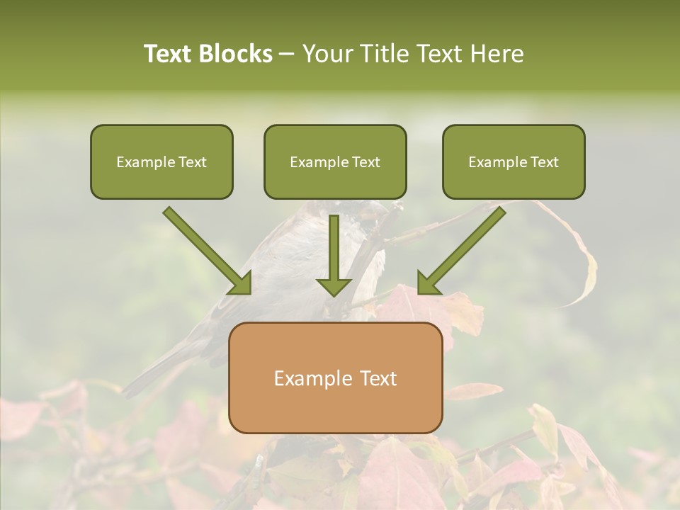 Nature Garden Botanic PowerPoint Template