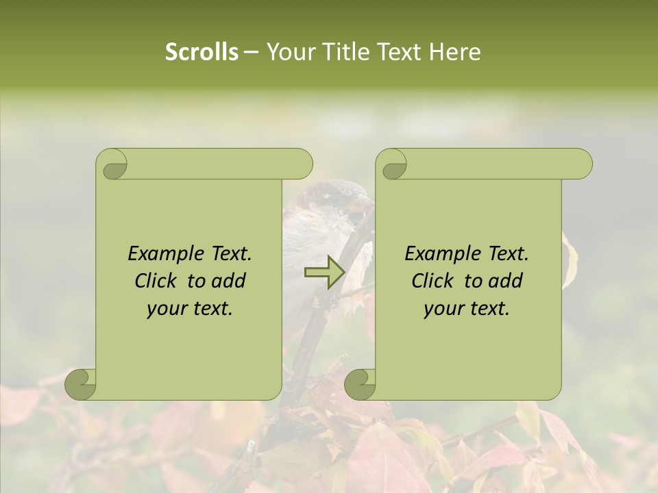 Nature Garden Botanic PowerPoint Template