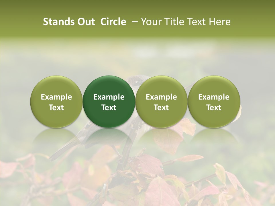 Nature Garden Botanic PowerPoint Template