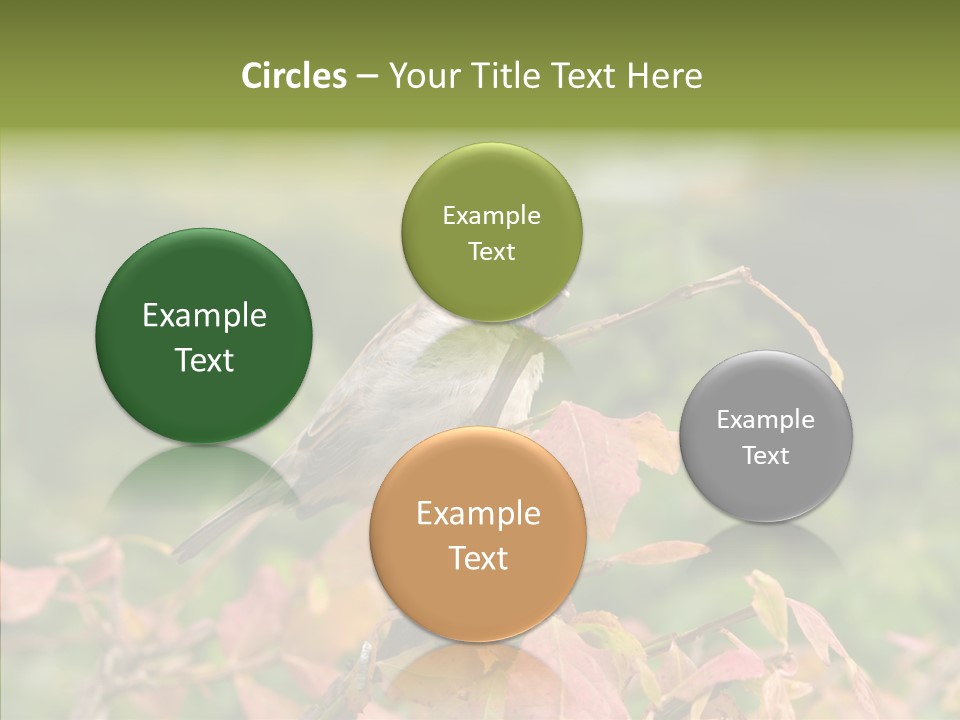 Nature Garden Botanic PowerPoint Template