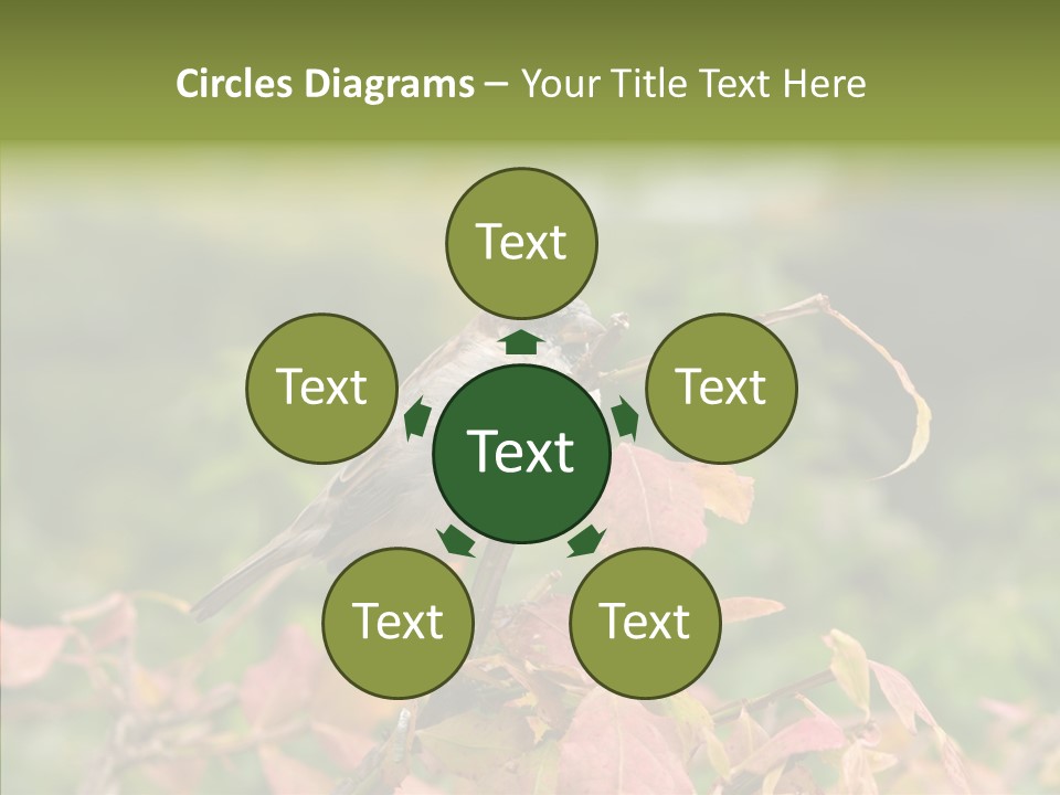 Nature Garden Botanic PowerPoint Template